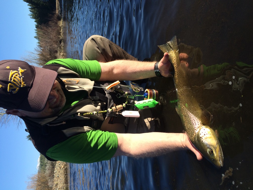 Brown Trout, Maher's guide service, Truckee river, Osprey Photography, catch and release