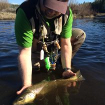 Dan releasing another Brown Trout