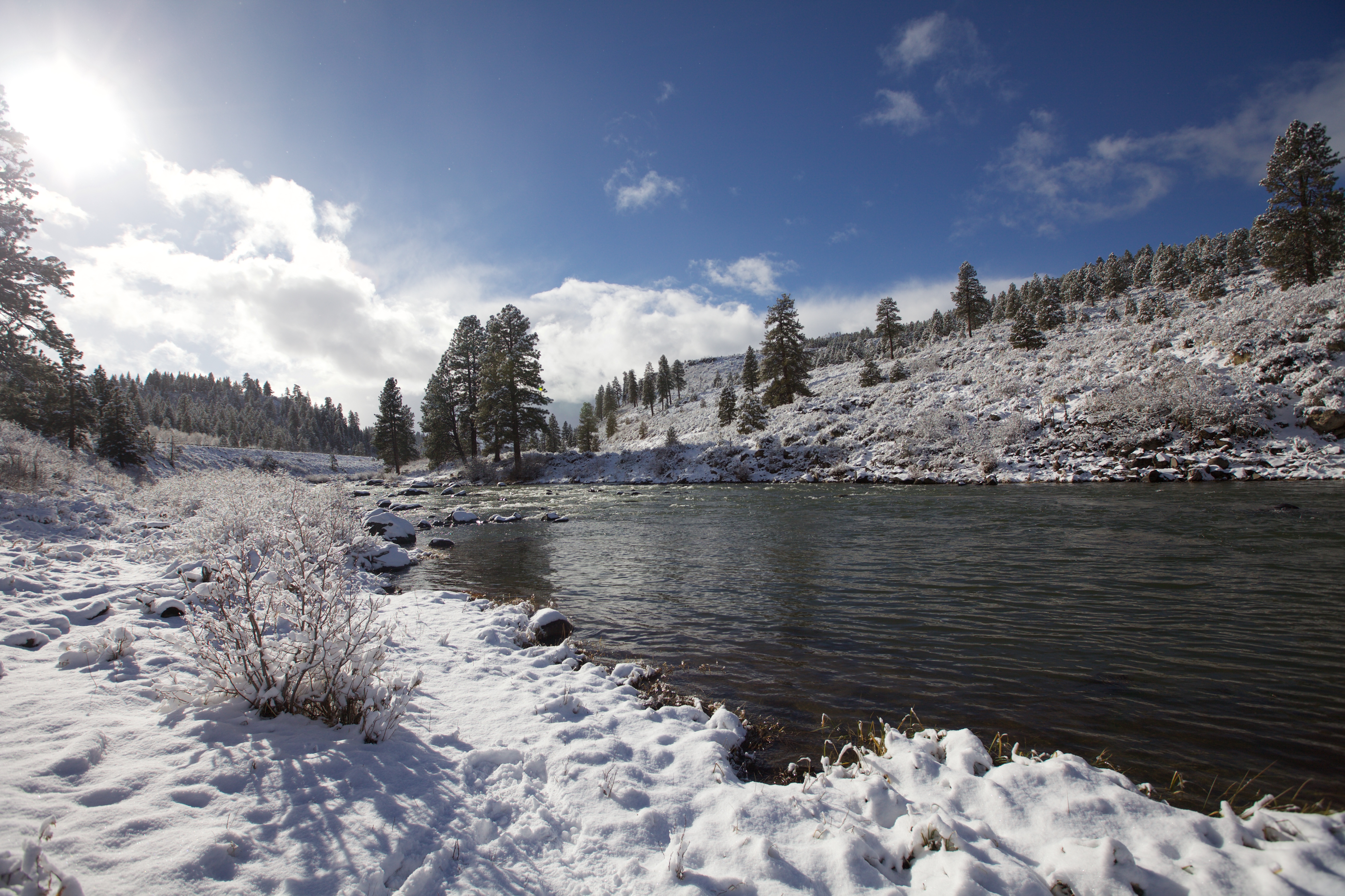Winter Time Fly Fishing in Truckee, California